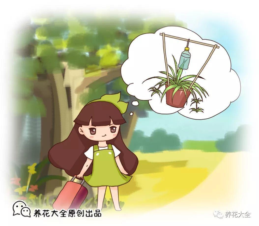 离家1个月, 花旺得能掐出水, 全靠这个大油桶!