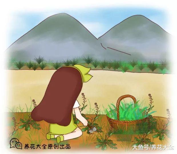 又到了挖野菜的季节, 这几种野菜现在就能挖, 做法都准备好了