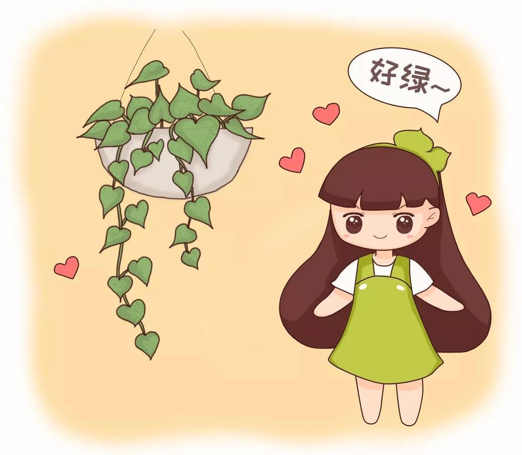 快死的绿萝别扔, 咔嚓一剪刀, 1个月后再次绿油油!