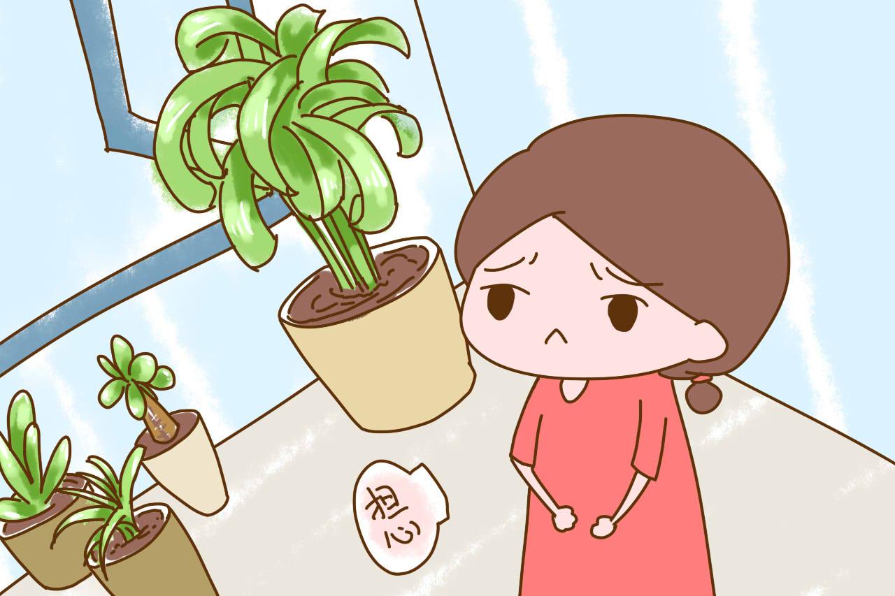 刚装修完的房子, 孕妈多久才能入住? 很多人都做错了