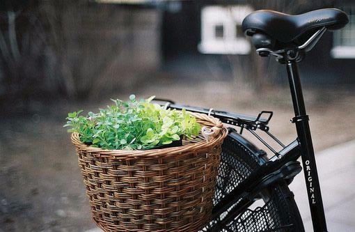 让人安心的十句话, 没事可不读!