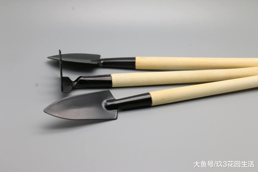 种植多肉植物需要用到哪些工具