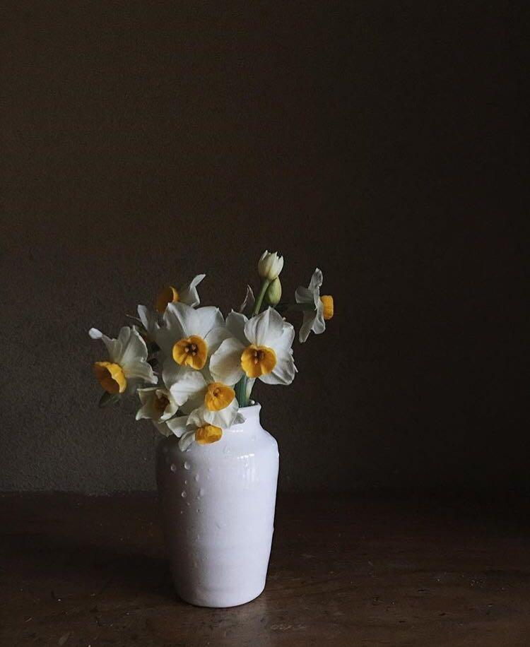 新鲜的花束怕凋谢, 只要这样简单处理, 花期又能延长一周