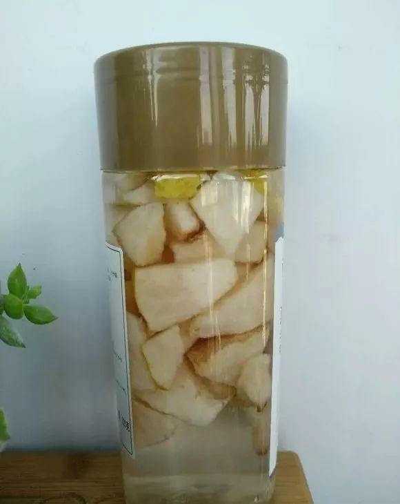 给多肉吃个梨, 呼呼长成胖娃娃, 看着都想咬一口!