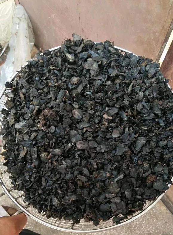 秋天捡点它丢盆里, 根壮叶绿开爆盆, 养10年不烂根!