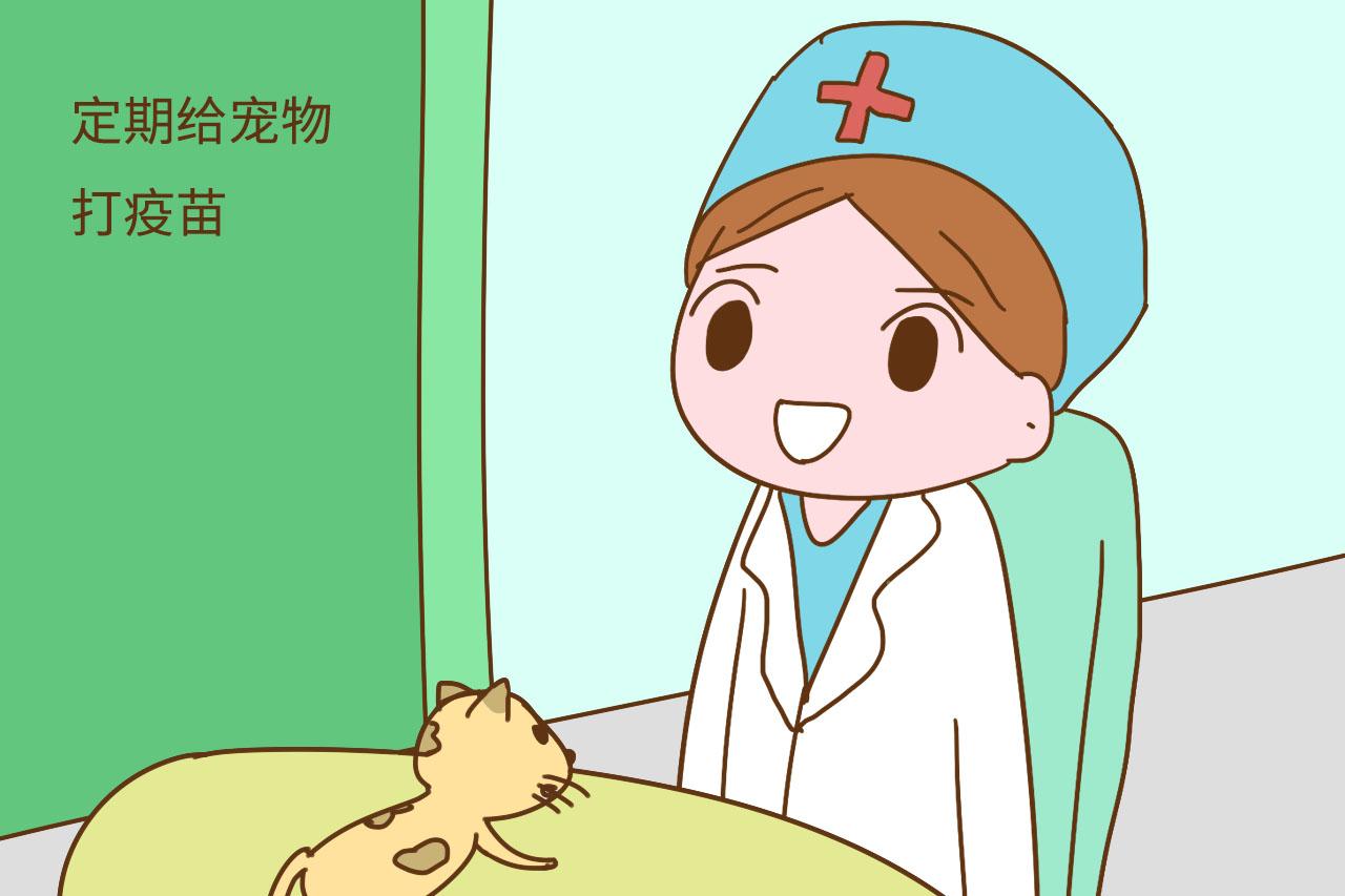 备孕家庭能养宠物吗? 答案可能和你想的不一样, 备孕的你需注意