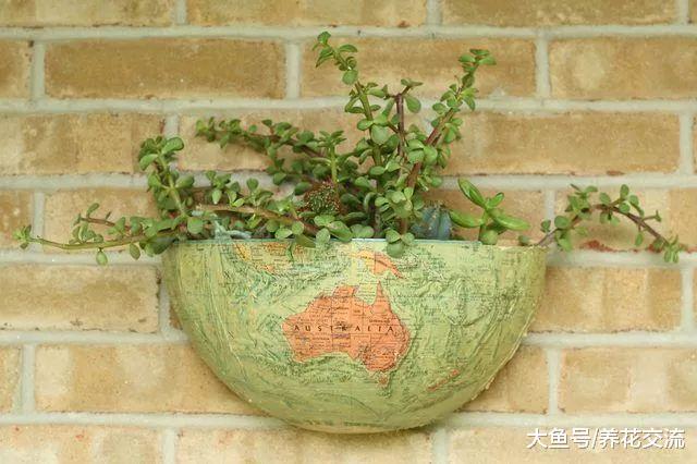 适合自己DIY的9种植物景观创意, 园艺新手也能轻松制作