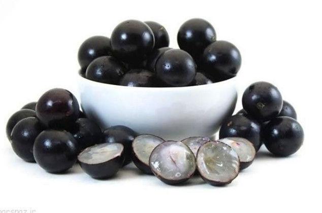 路边的树上长满“黑瘤子”, 深受女性喜爱被称为“天然护肤品”