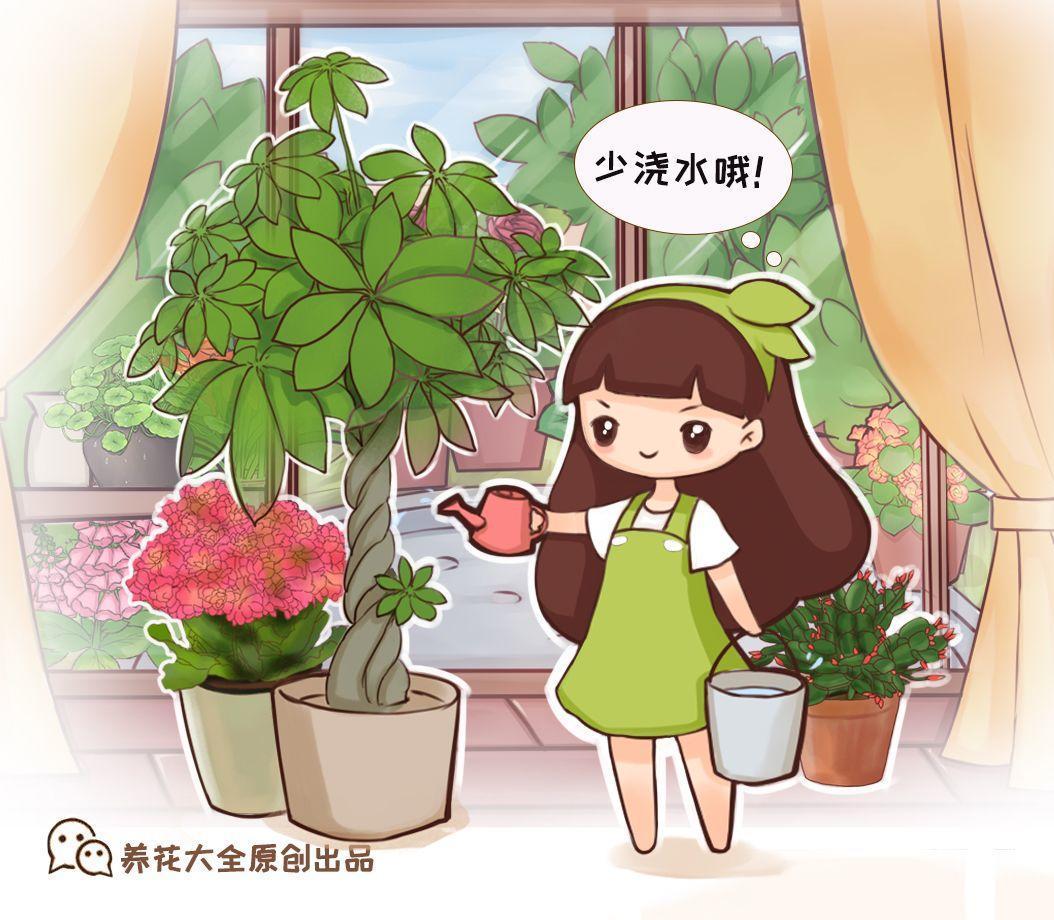 管住手! 这10种花, 冬天越浇越死, 不管才安全!
