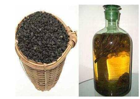 80岁老中医说: 不想肾太好的男人, 千万不要把它泡酒喝!