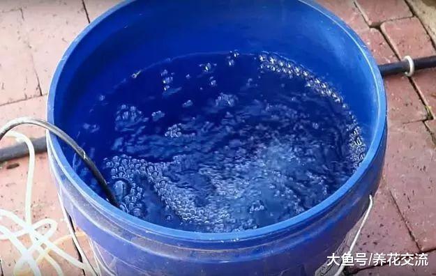 用这种方法就能将堆肥土制作成有机液肥, 就不用化学肥料了