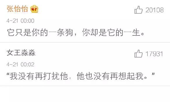 哪句话曾触碰过你的泪点? 去陪你喜欢的人吧, 至少你快乐