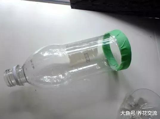 废弃的汽水瓶变成倒挂的吊盆, 将草本花卉直接种上去就能活