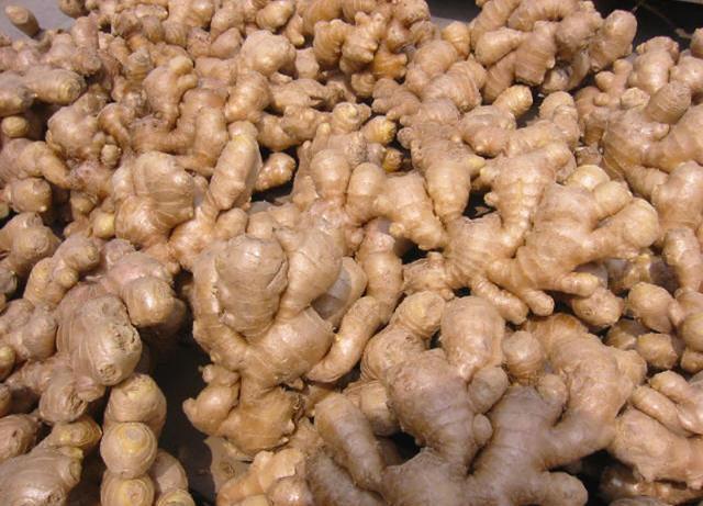 60岁老奶奶“天天”用生姜来泡脚, 15天后身体有惊人的变化!