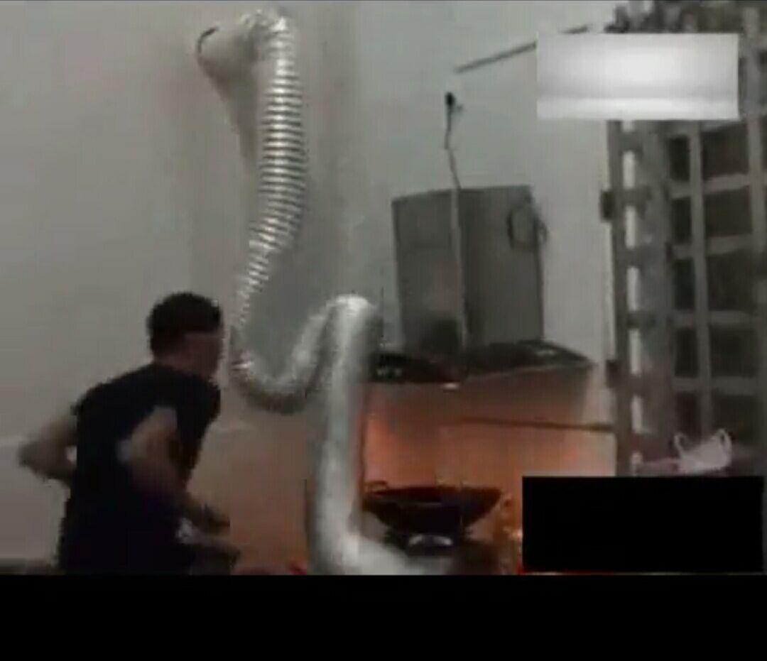 男子家中正在炒菜, 发生这样的画面