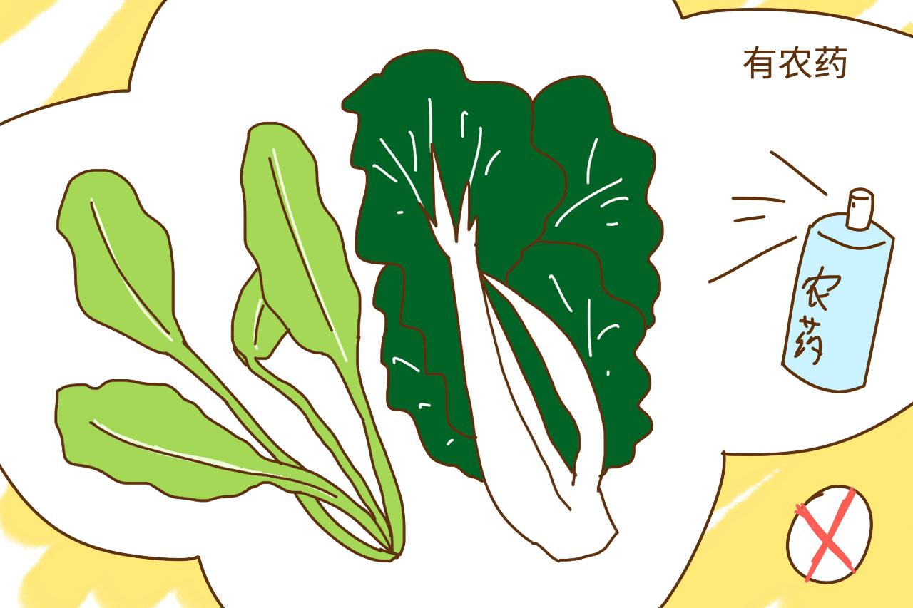 孕期这4种食物是禁忌, 孕妈食用后很容易导致胎儿畸形
