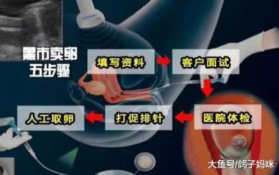 孩子, 卖过卵子后, 日后你还有卵用吗?