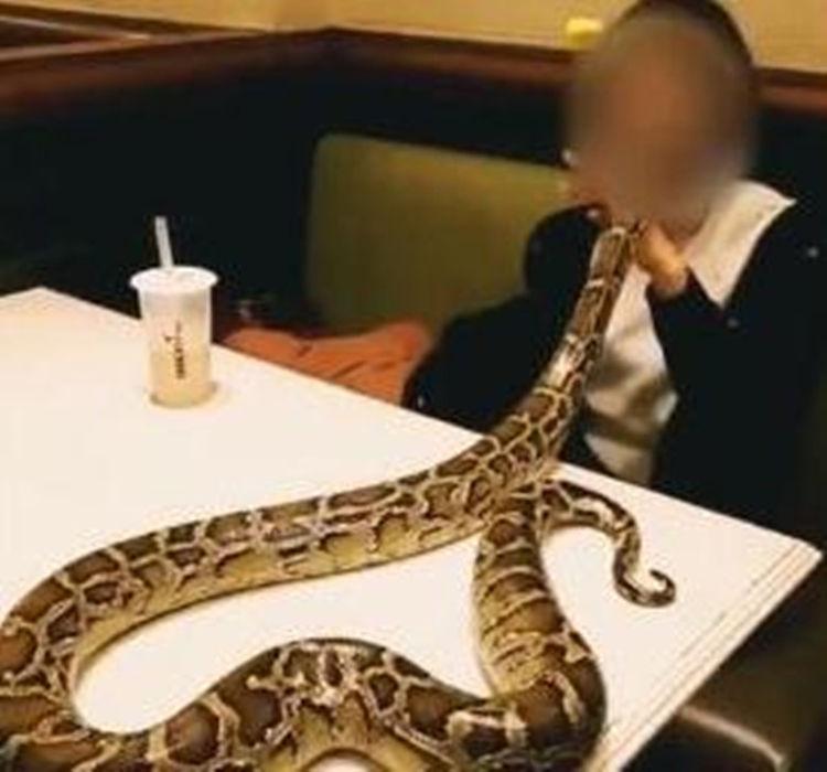 女子去吃饭, 餐厅突然出现一蟒蛇, 老板被吓晕, 结果女子赔了三千