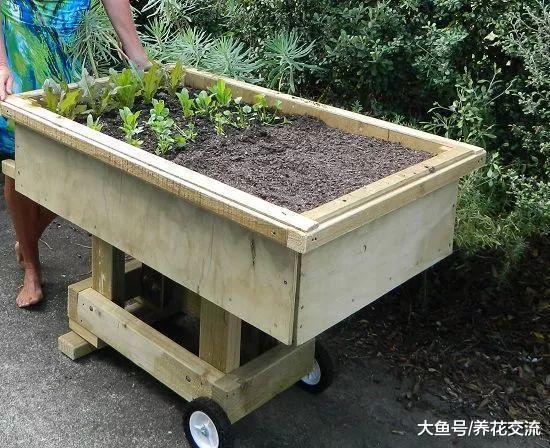 10个可移动的花坛创意, 可以随意搬动的大型盆栽