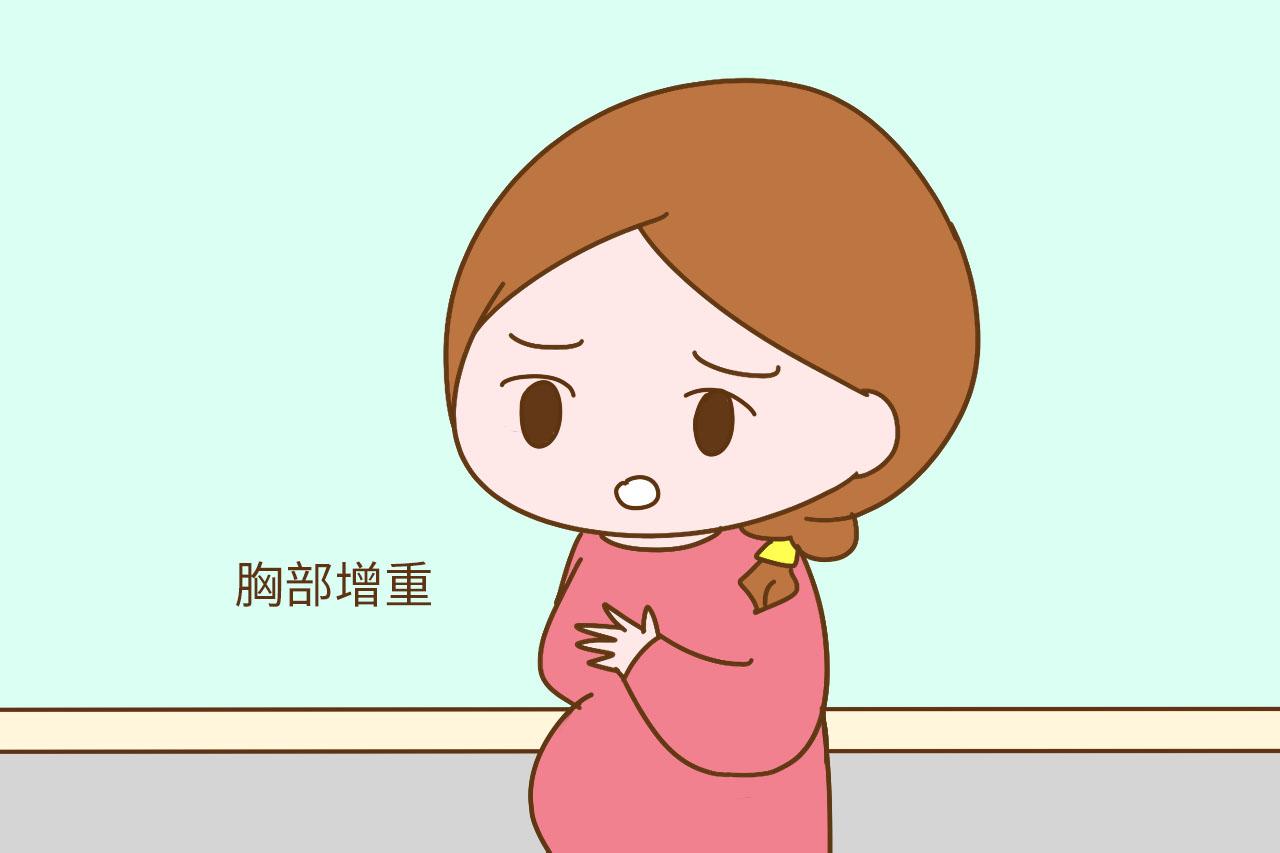 孕妈怀孕时增长的体重都长哪了? 终于知道为什么生完之后还这么重