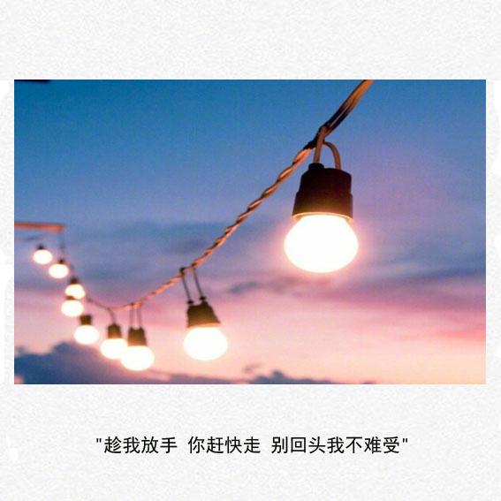 嘴上说着不想恋爱的人 心里大概装着一个无法拥有的人吧
