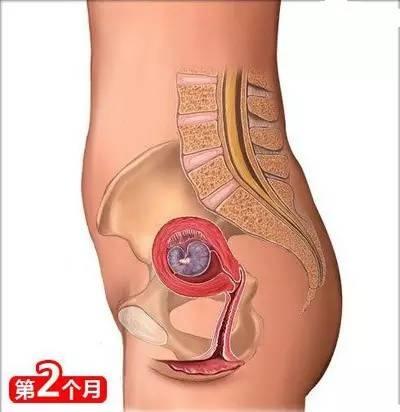 小两口从怀孕到生娃, 你一定要懂的26个母婴常识!
