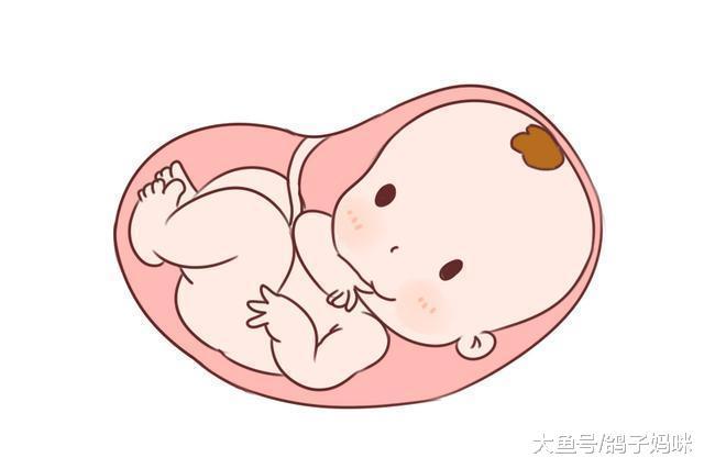 孕妈疑问: 胎儿心电图和胎心监护是一回事吗?