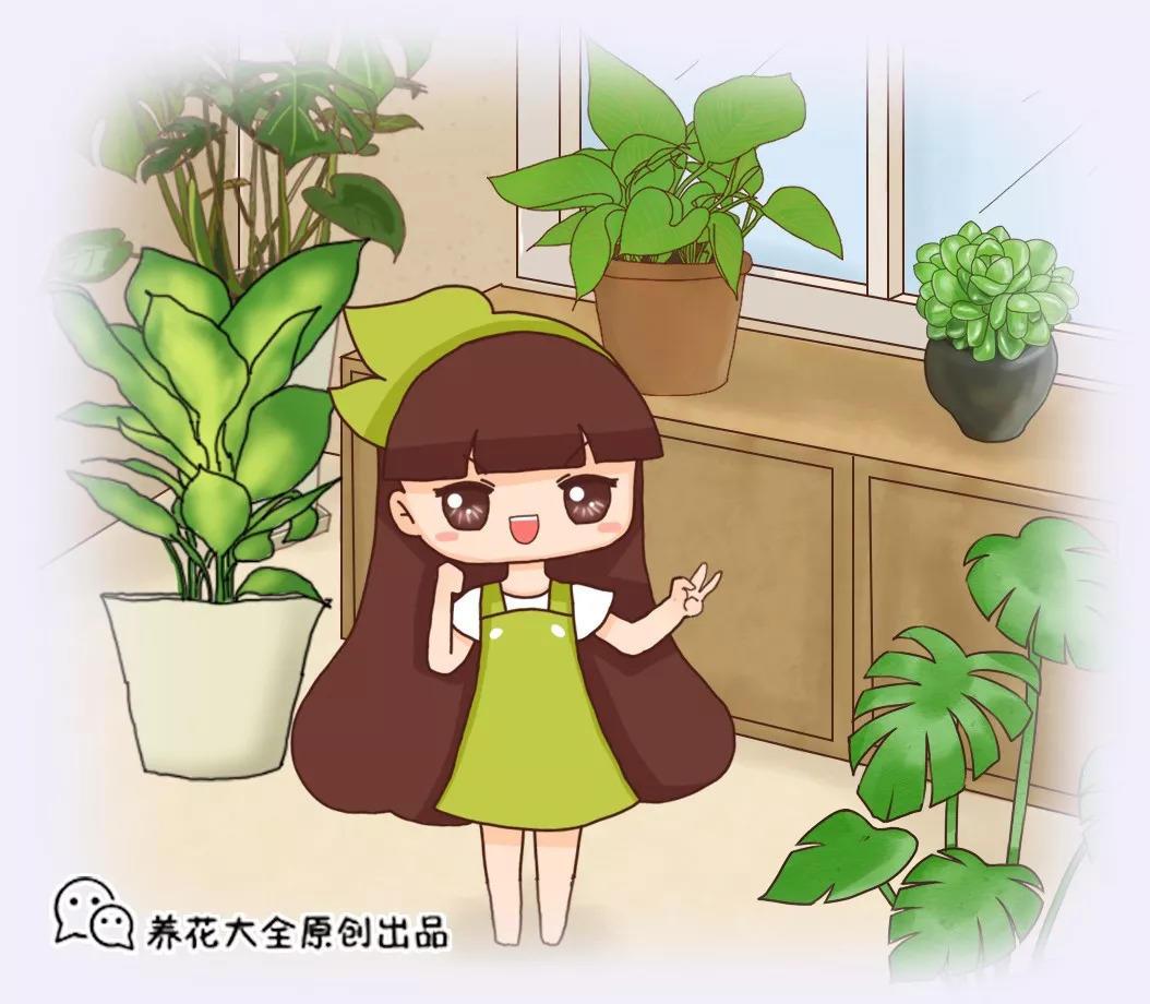 这6盆花家里一放, 增湿还除尘, 比加湿器还管用!