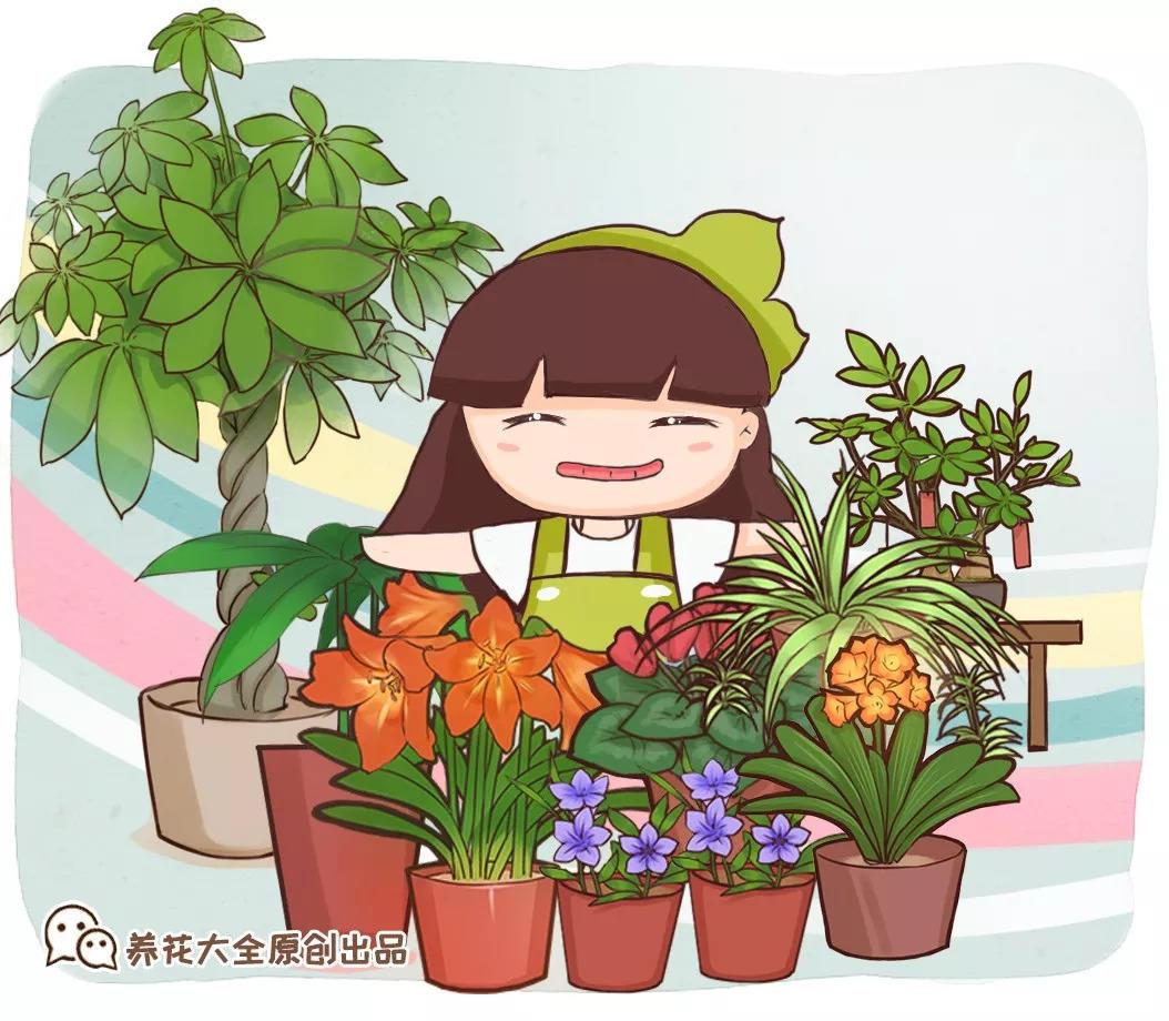 生活不如意的时候, 试着养盆花草, 找到其中乐趣!