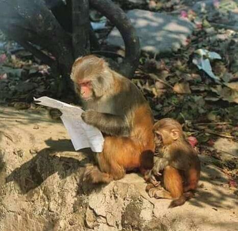 给爸爸看成绩单时的你 