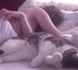 奇葩买家秀|谁帮我把这碍事猫拿走..