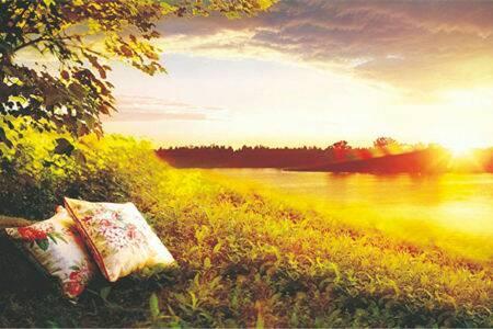 女人单身久了, 这4个地方会变得越来越大