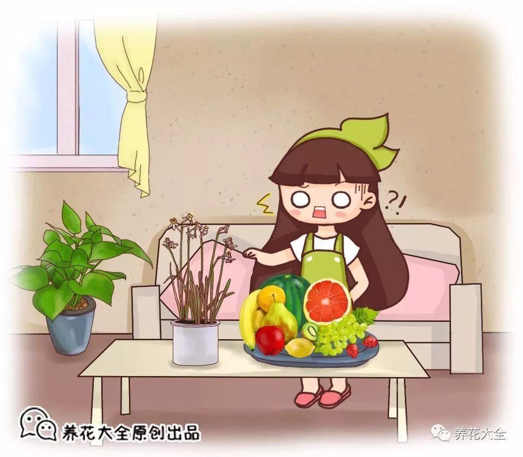 家里的鸡蛋壳别浪费, 在里面加点它, 花吃了蹭蹭长!