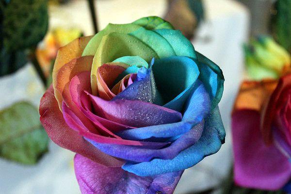 再能干的人, 也许要需要这十句话!