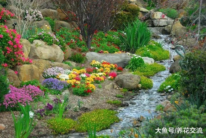 适合栽种在斜坡和山坡上的几种靓丽开花植物, 对防止滑坡有奇效