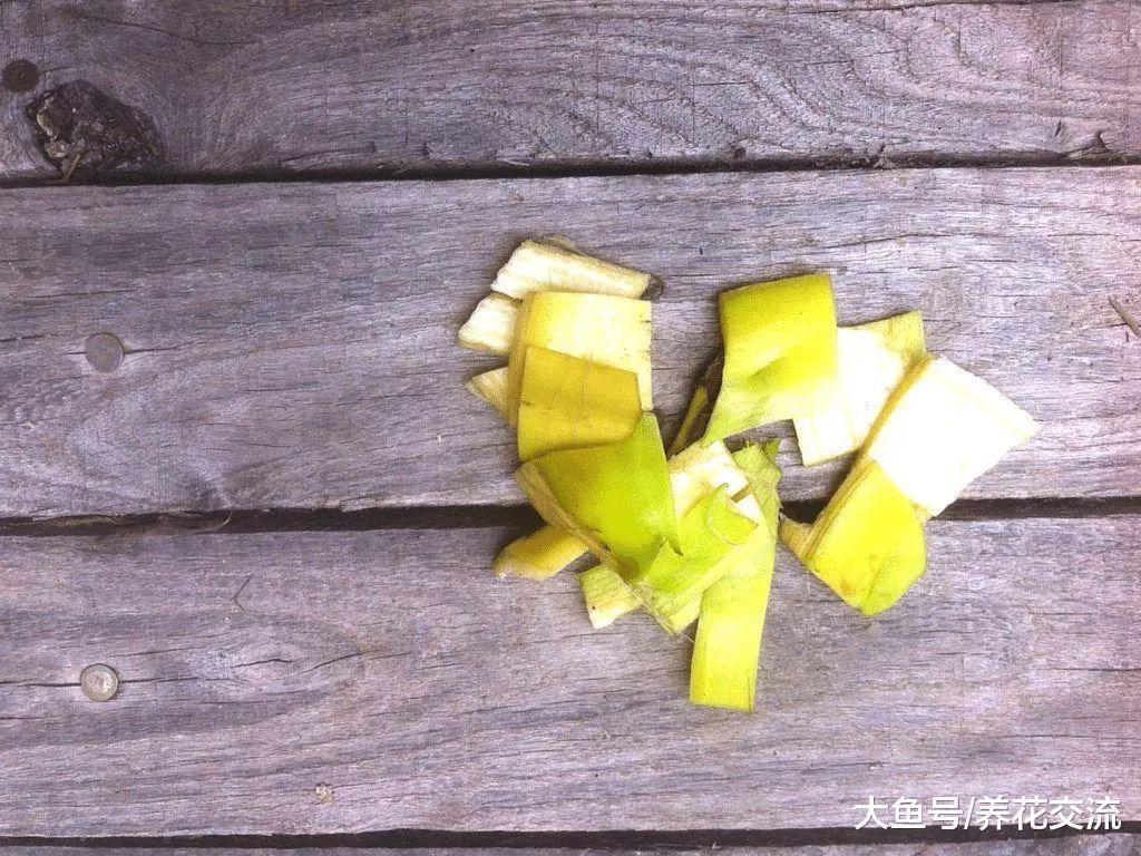 用香蕉皮来制作肥料的10种方法, 吃完的果皮不要丢了