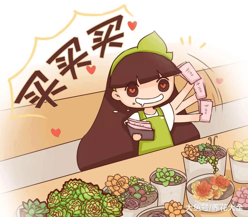 刚买回家的多肉, 这样一处理, 没几天就长得萌萌哒!