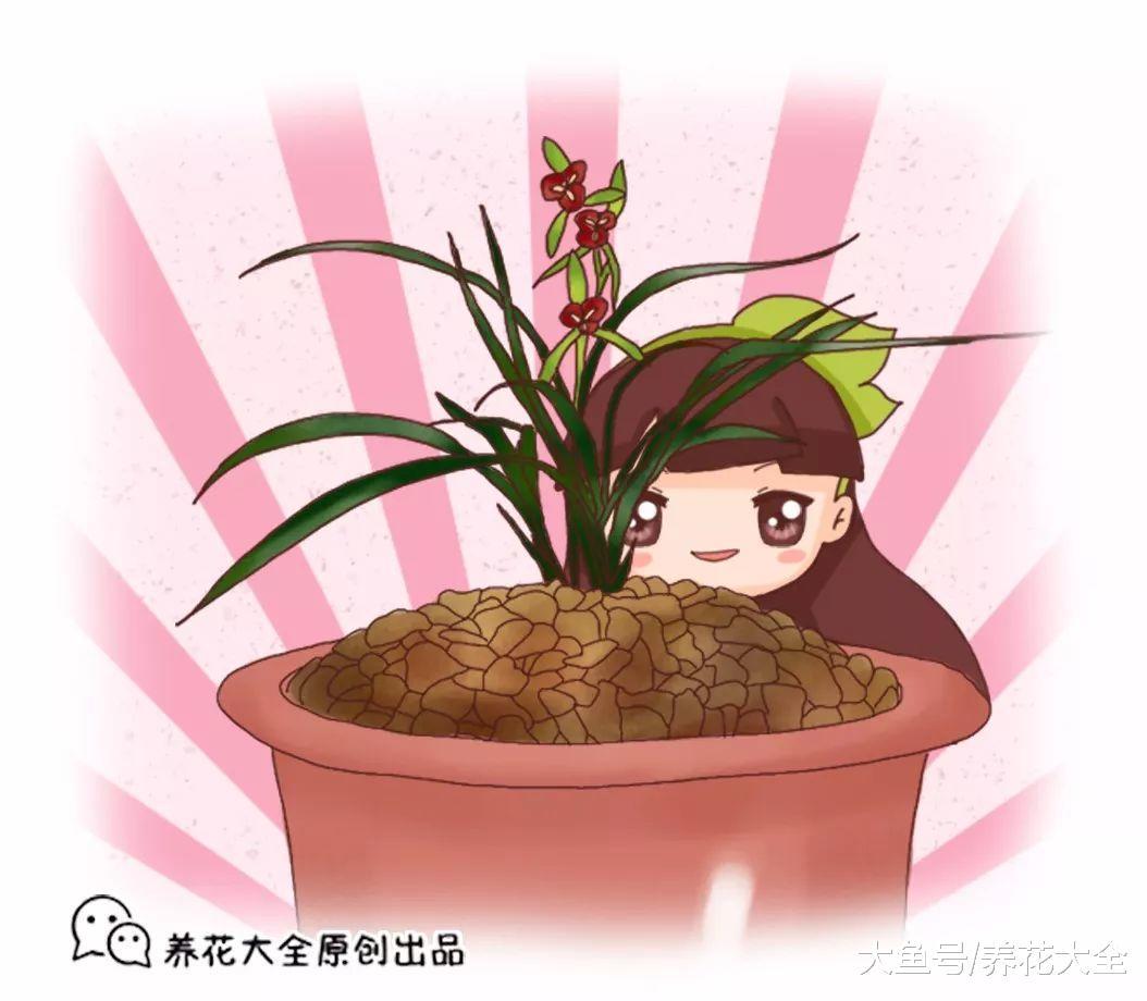 想要自制腐叶土, 那就加点这个, 比买的还好用!