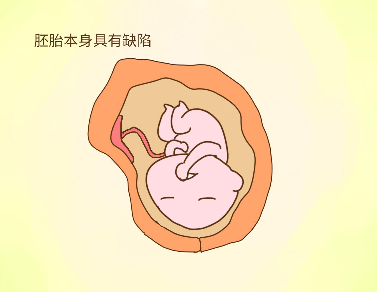 怀孕百日内, 为什么不能宣布喜讯? 还是医生说得有道理