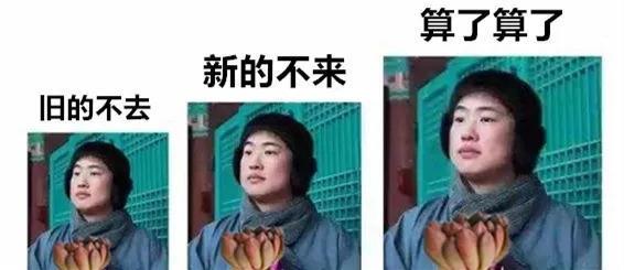 夏天刚过, 月季上结满蜘蛛网, 复习一下明年再战!