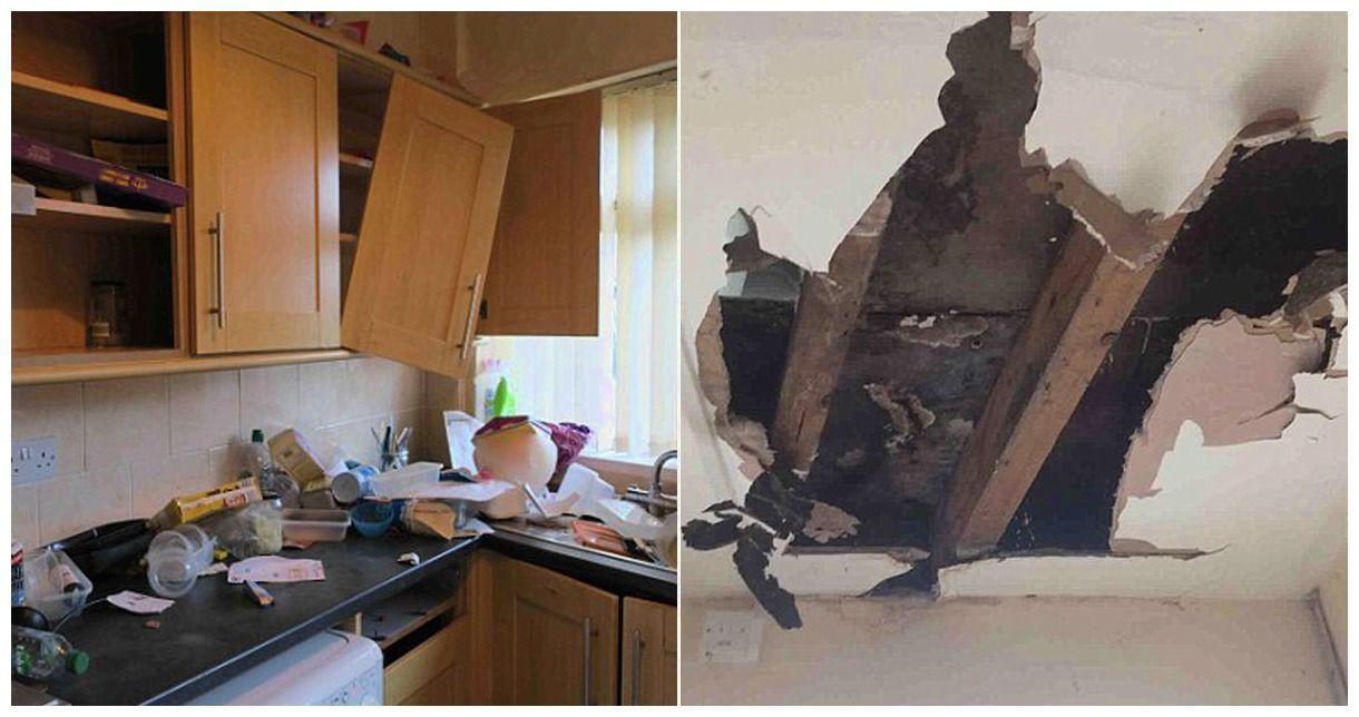 英国一出租屋变成垃圾场, 房东倒贴8万块清洁房屋