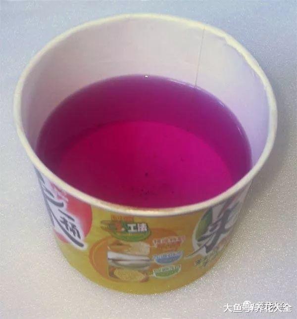 剪下来的枝条别浪费, 这样一处理, 花盆都不够用!