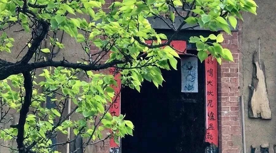 40岁前忙成狗, 40岁后找个院子落脚, 陪你养花到老!