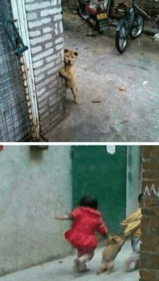 这大概就是老司机的套路了