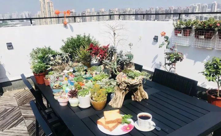 1年时间从无到有, 80后辣妈在上海建成空中花园!