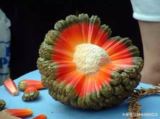 世界上最奇特的水果, 看看你吃过哪些!