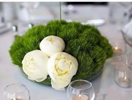 炎热的夏季, 是时候在办公桌上放这些植物了!