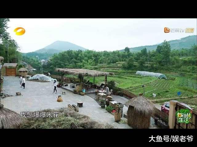 大家喷杨颖不是因为假吃, 最重要的原因居然是这个?
