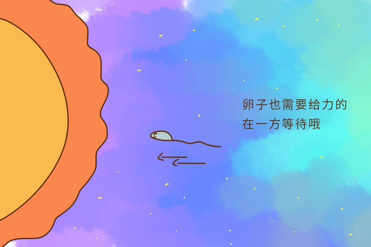 同房三千遍还是造人无果? 一碰就中的5个秘籍你需要掌握