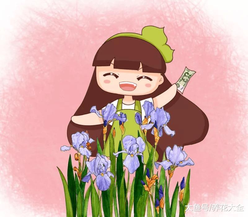 人民币上的花, 有钱人都在养, 现在养一盆还来得及